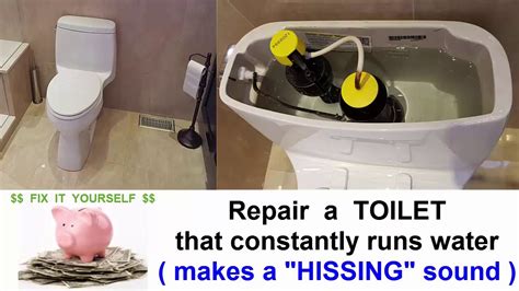 Toilet Noise .